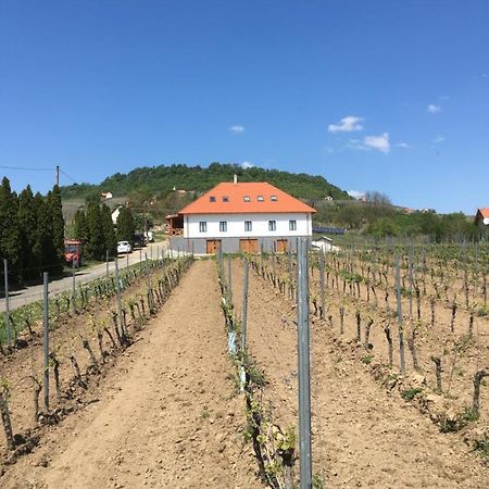 Somló Kolonics Kúria Hotel Somlovasarhely Exterior foto