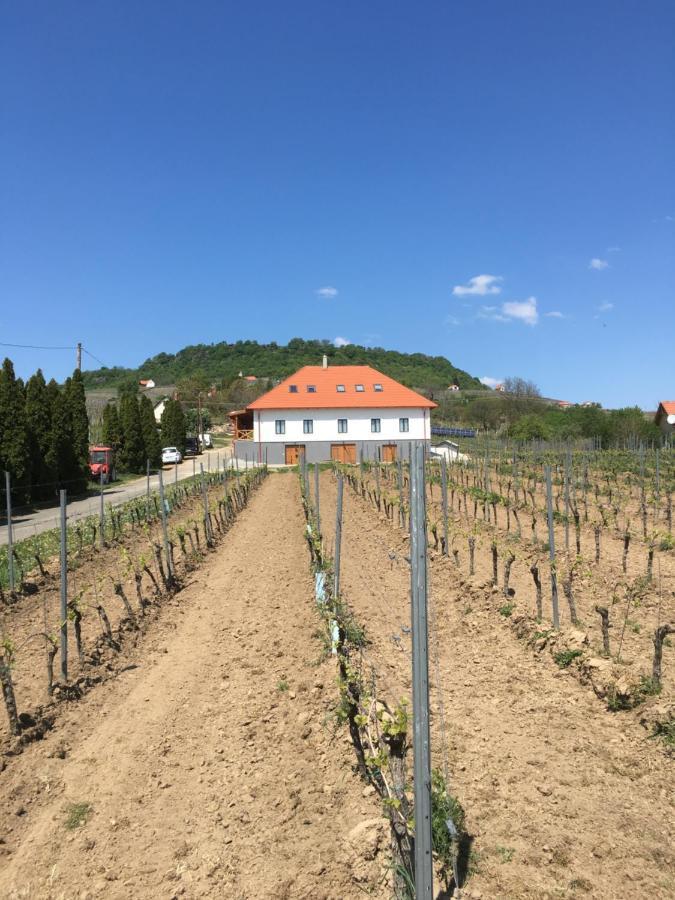 Somló Kolonics Kúria Hotel Somlovasarhely Exterior foto