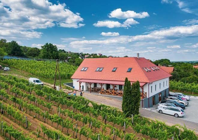 Somló Kolonics Kúria Hotel Somlovasarhely Exterior foto
